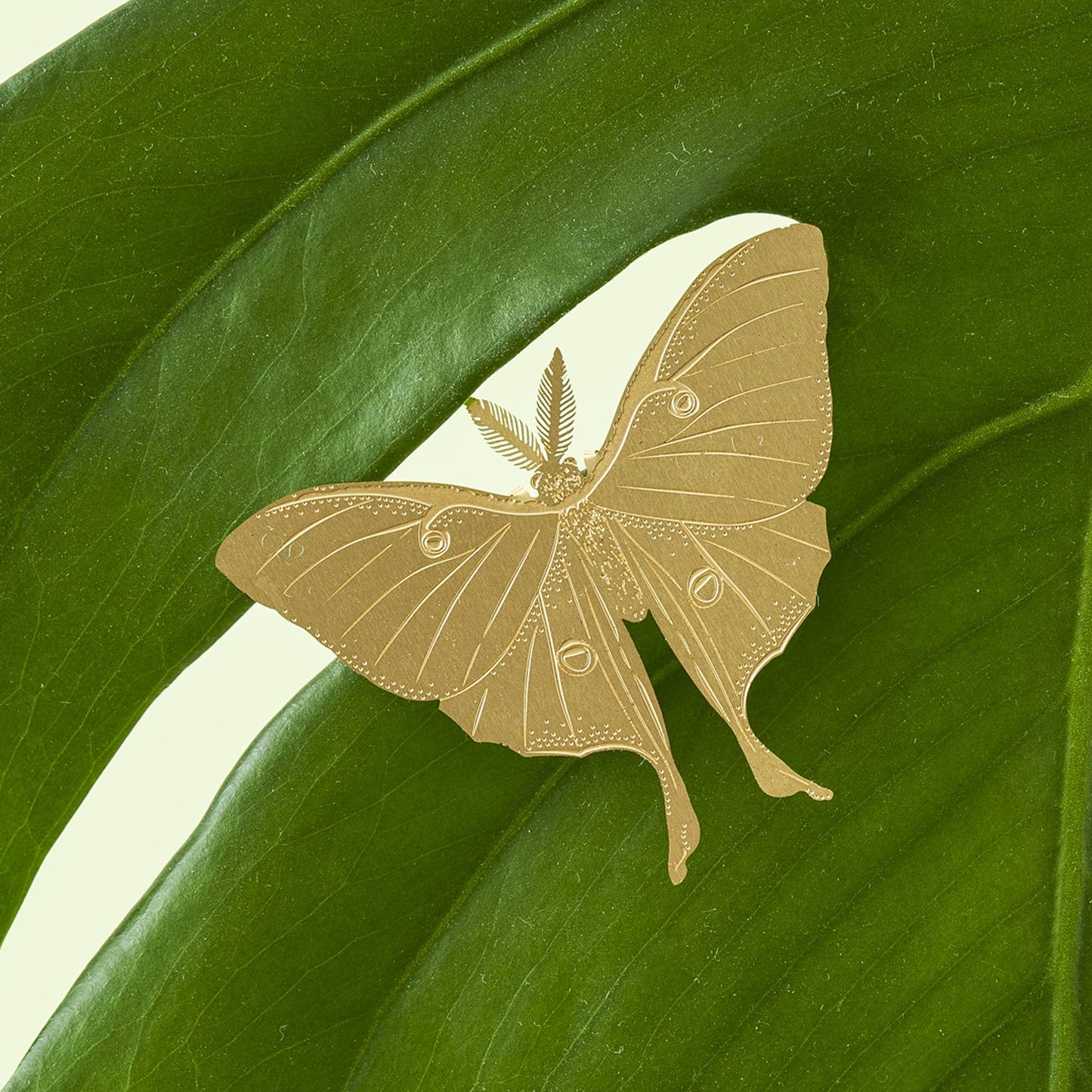 Plant Animal - Luna Moth, House Plant Charm