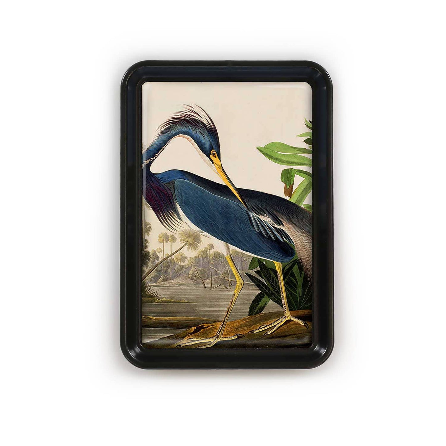 Louisiana Heron Tray