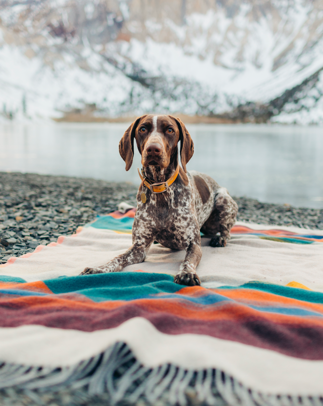 Mountain Tropic Blanket