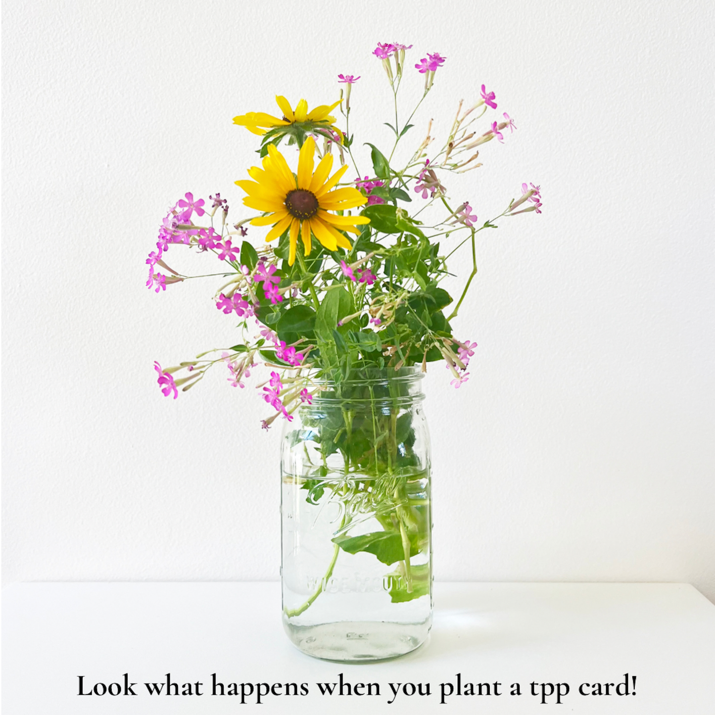 Untangle The Weeds: Plantable Wildflower Encouragement Card