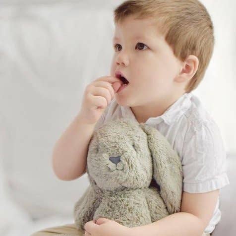 Beau Bunny Stuffed Animal - 13.5"